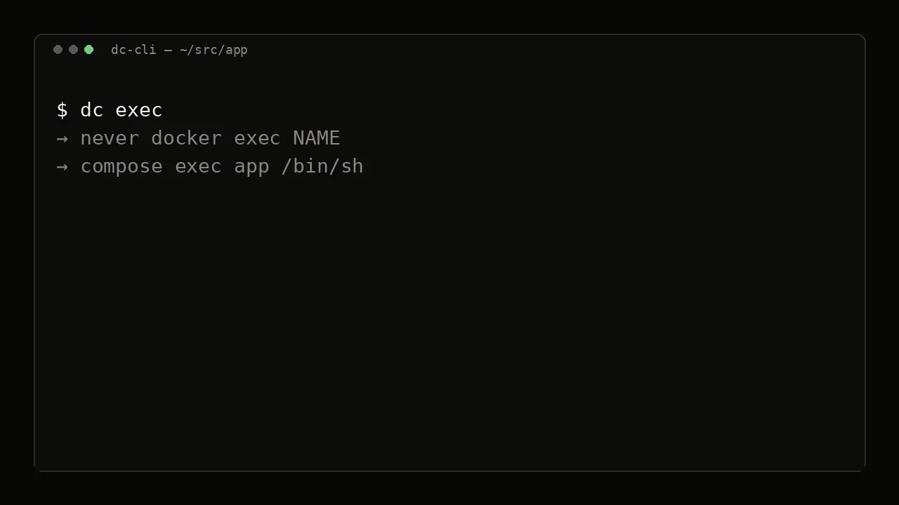 Terminal recording of dc exec
